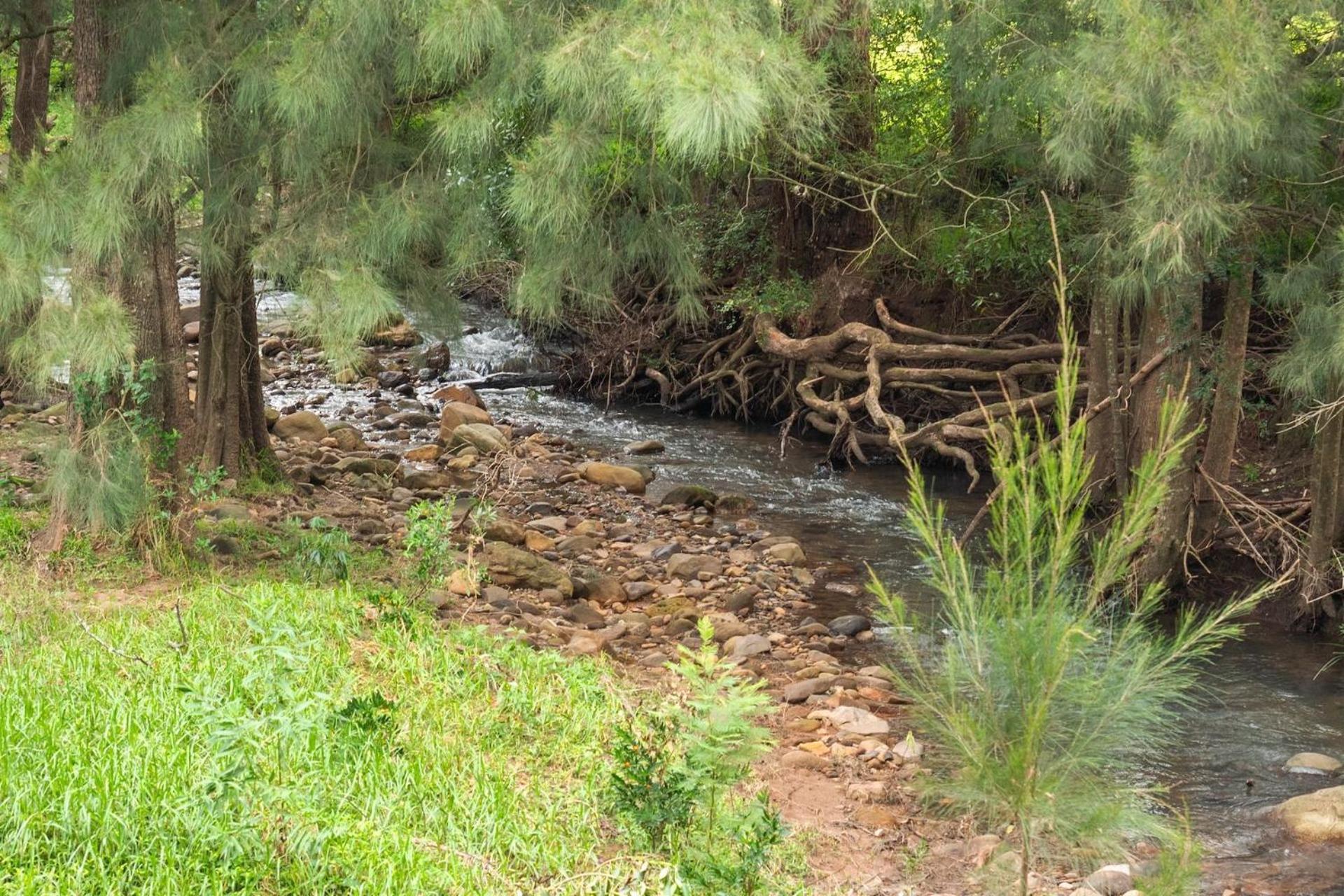 Cottage Comfort Kangaroo Valley Exterior foto